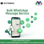 Bulk WhatsApp SMS in Chennai